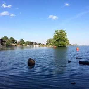 Meet your Posher, Darling